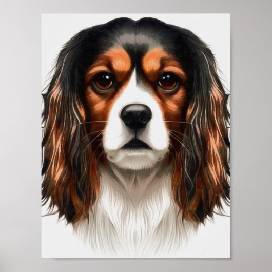 Poster Le roi Charles Cavalier Spaniel Portrait pour anim (Devant)