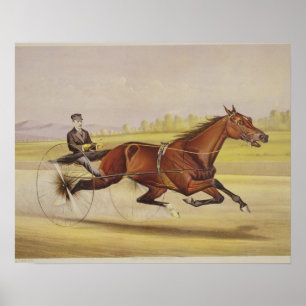 Poster Le Roi du Turf, 'St. Julien', conduit par Orri