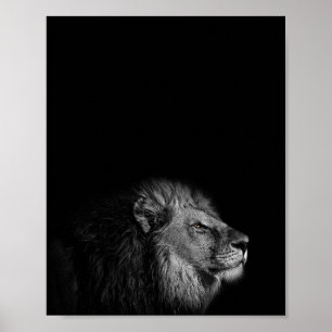 Poster Le Roi, le Lion, photo en noir et blanc