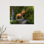 Poster Le Roi Lion (Cuisine)