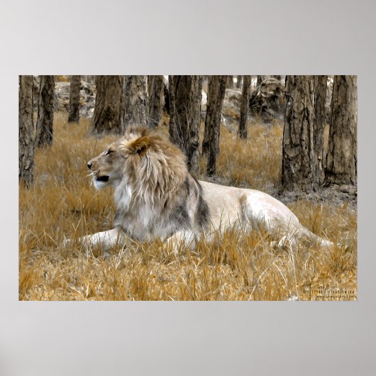 Poster Le Roi Lion (Devant)