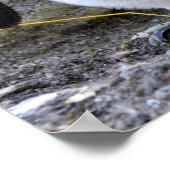 Poster Le roi Penguin avec l'oeuf (Coin)