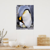 Poster Le roi Penguin avec l'oeuf (Cuisine)