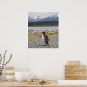 Poster Le roi Penguin, Isla Martillo, Tierra Del Fuego (Cuisine)