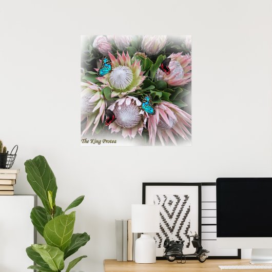 Poster Le roi Protea (Bureau à domicile)