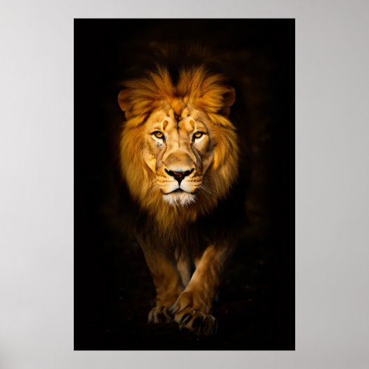 Poster Le roi silencieux (Devant)