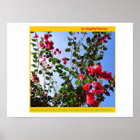 Poster Le Rosariankrantz de la Lampe Aurorienne ! * (Devant)