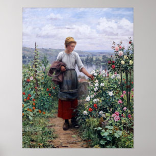 Poster Le Rose