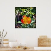Poster le rose (Cuisine)