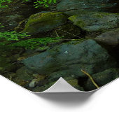 Poster Le ruisseau Laughwater au parc national Mount Rain (Coin)