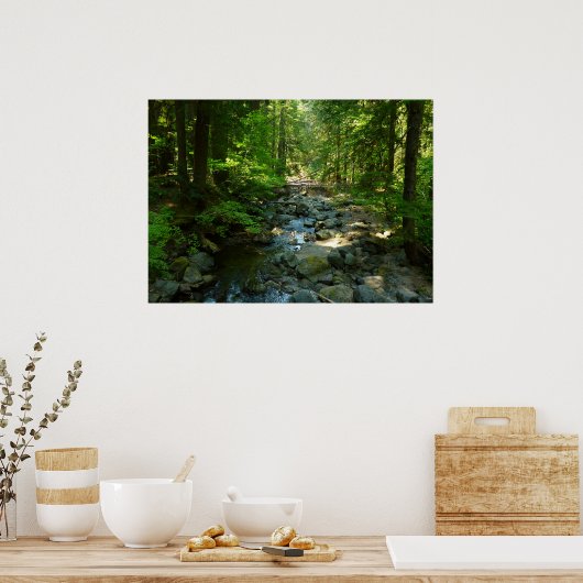 Poster Le ruisseau Laughwater au parc national Mount Rain (Cuisine)