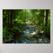 Poster Le ruisseau Laughwater au parc national Mount Rain (Devant)