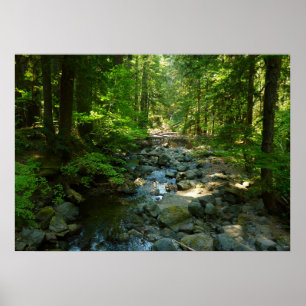 Poster Le ruisseau Laughwater au parc national Mount Rain