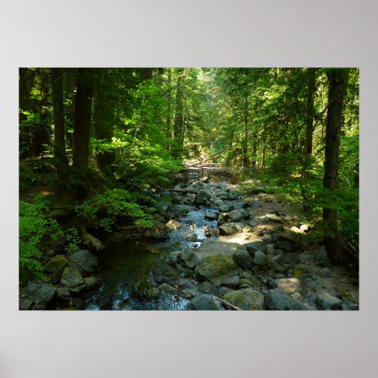 Poster Le ruisseau Laughwater au parc national Mount Rain (Devant)