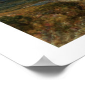 Poster Le ruisseau Ombragé (Coin)