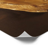 Poster Le rythme de tête de Lion (Coin)