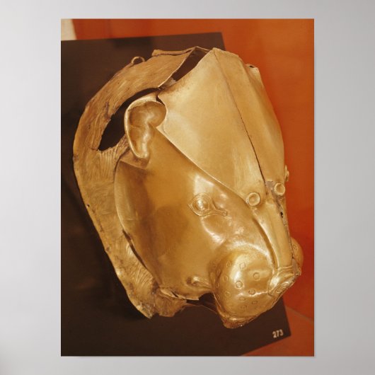 Poster Le rythme de tête de Lion (Devant)