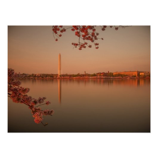 Poster Le Sakura de Washington est sunset. (Devant)