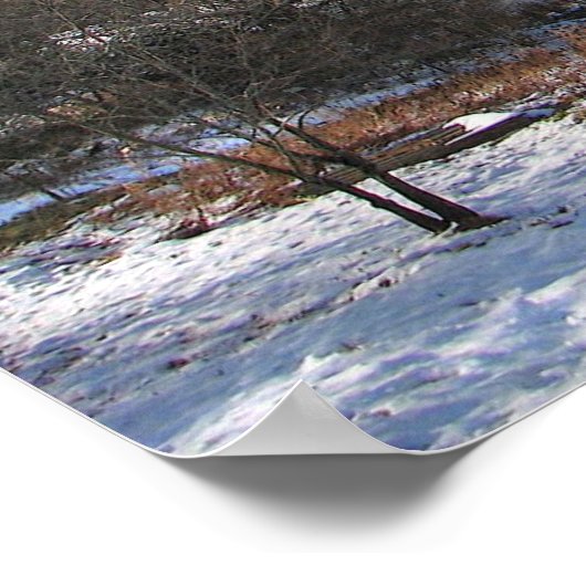 Poster Le Sauna (Coin)