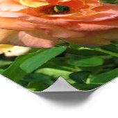 Poster Le scarabée sur un Rose (Coin)