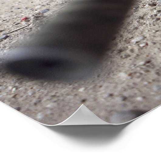 Poster Le Schmidt & Bender M-854155 DS (Coin)