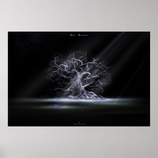 Poster Le secret 2 (Devant)