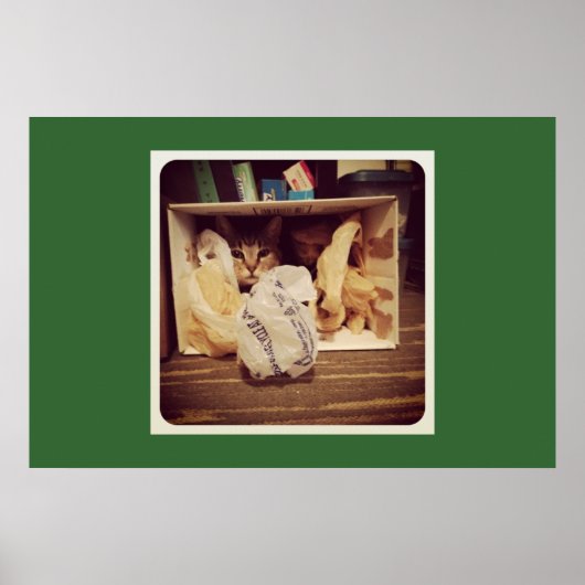 Poster Le secret d'Indigo (Devant)