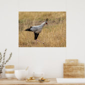Poster Le secrétaire Bird sur la chasse (Cuisine)