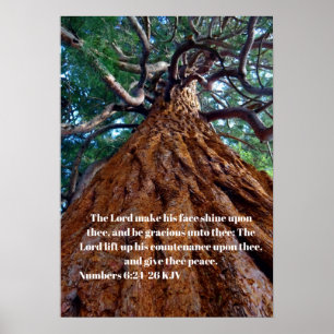 Poster Le Seigneur fait briller son visage, levant