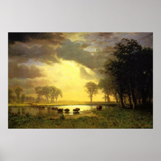 Poster Le sentier Buffalo (Devant)