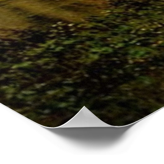 Poster Le sentier Buffalo d'Albert Bierstadt, 1867 (Coin)