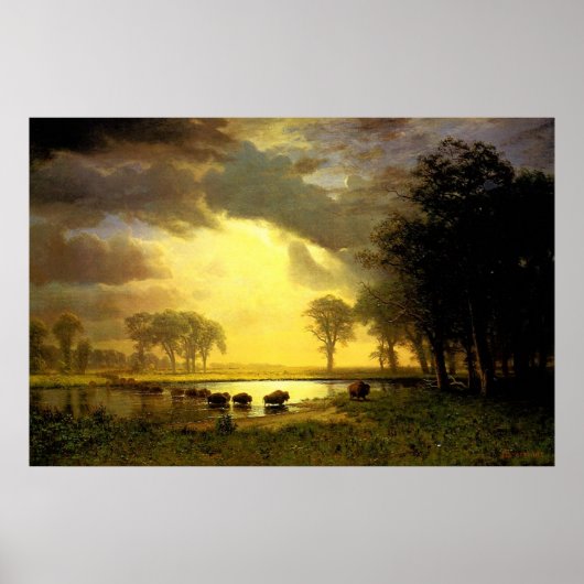 Poster Le sentier Buffalo d'Albert Bierstadt, 1867 (Devant)