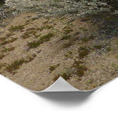 Poster Le sentier de boucle du barrage Barker au parc nat (Coin)