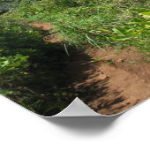 Poster Le sentier de Kalalau (Coin)