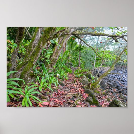 Poster Le sentier de Kalalau, la côte de Napali, Kauai, H (Devant)