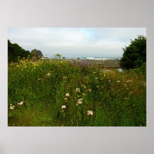 Poster Le sentier de la boucle Yurok au parc national Red (Devant)