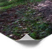 Poster Le sentier des Appalaches, PA (Coin)