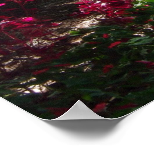 Poster Le sentier du jardin (Coin)