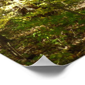 Poster Le sentier du lac Kittamaquandi à Columbia Marylan (Coin)