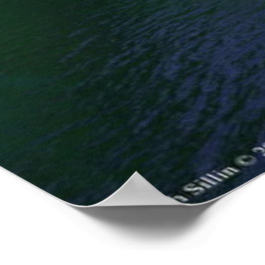 Poster Le Sentinel (Coin)