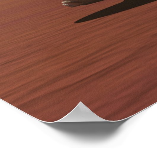 Poster Le Sentinel (Coin)