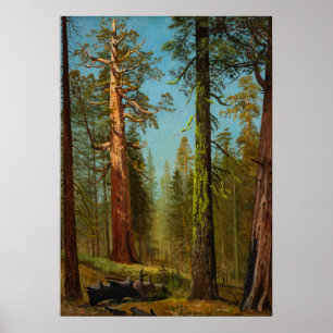 Poster Le Séquoia Géant Grizzly, Peinture Célèbre