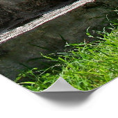 Poster Le Serpent, Chichen Ixta, Ruines Mayas, Mexique (Coin)