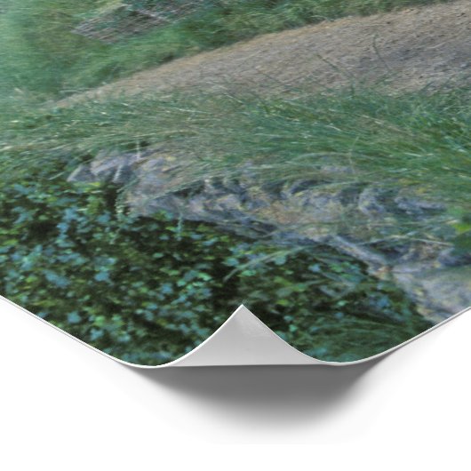 POSTER LE SHIRE™ (Coin)