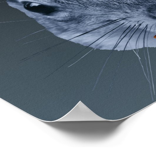 Poster Le silence des écureuils - une parodie (Coin)