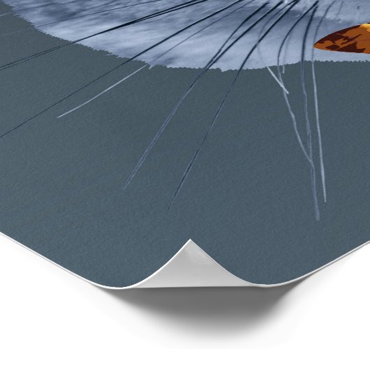 Poster Le silence des écureuils - une parodie (Coin)