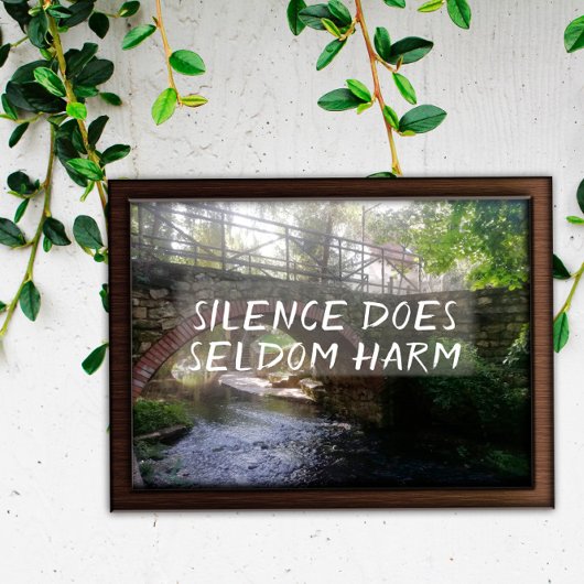 Poster Le silence fait rarement mal à proverbe pont poste