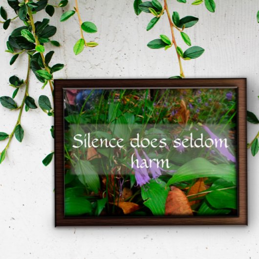 Poster Le silence nuit rarement à la sagesse en écrivant