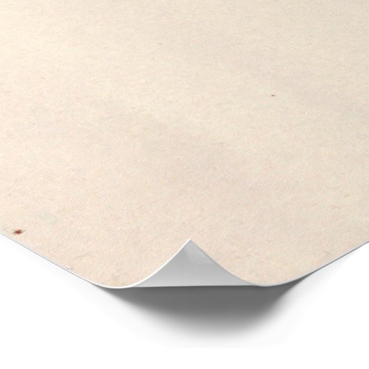 Poster Le singe Pluto par Joseph Wolf (Coin)