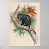 Poster Le singe Pluto par Joseph Wolf (Devant)